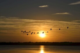 夕阳