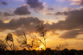 夕阳