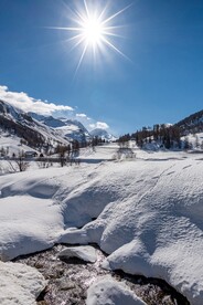 冬日雪景