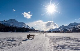 冬日雪景