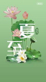 小清新绿色夏至荷花启动引导页