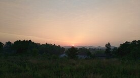 早晨