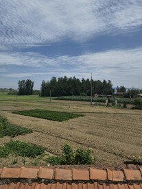 房屋后院三