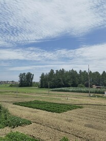 房屋后院一