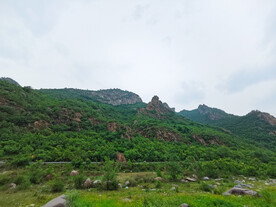 风景