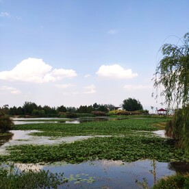 滇池湿地风景区