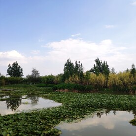 滇池湿地