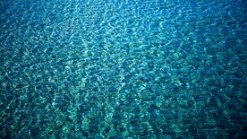 水面
