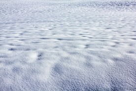 雪地