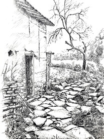 乡村的小道