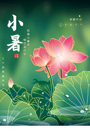 小暑节气传统活动宣传海报素材