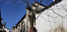 徽派建筑