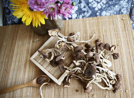 茶树菇