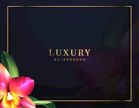 背景模板 展板背景      