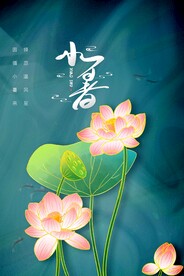 小暑节气传统活动宣传海报素材