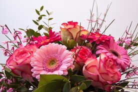 玫瑰花