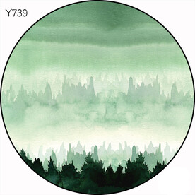 圆Y739
