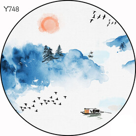 圆Y748