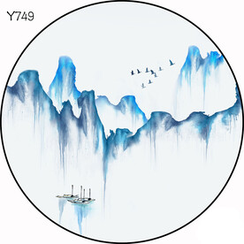 圆Y749