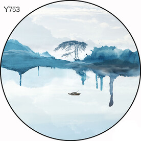 圆Y753