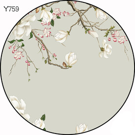 圆Y759