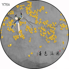 圆Y764