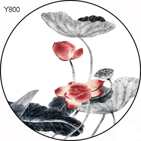 圆Y800
