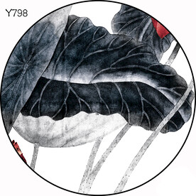 圆Y798