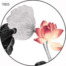 圆Y803