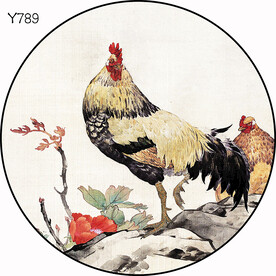 圆Y789