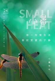 小暑节气传统活动宣传海报素材