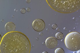 水泡背景