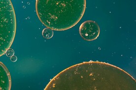 水泡背景