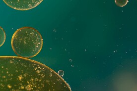 水泡背景
