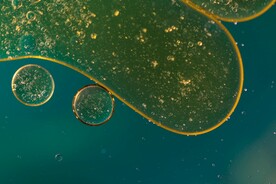 水泡背景