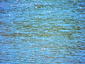 水面