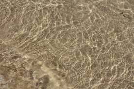 水面