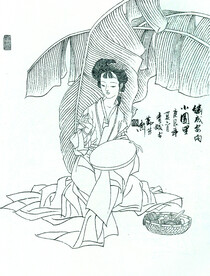 蕉荫仕女
