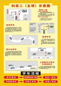 科目二考试分解示意图