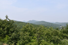 浮戏山