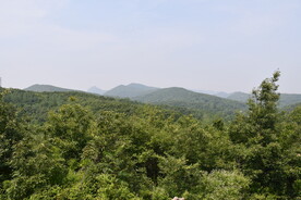 浮戏山