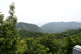  浮戏山