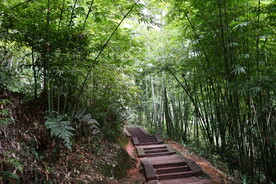 蜀南竹海