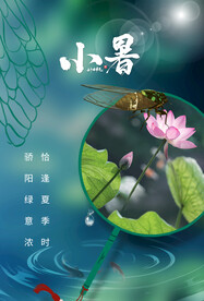 小暑节气传统活动宣传海报素材