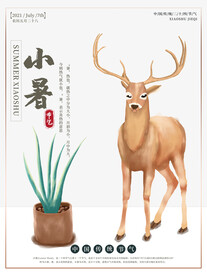 小暑海报