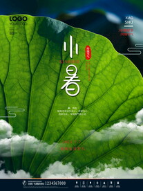 小暑海报