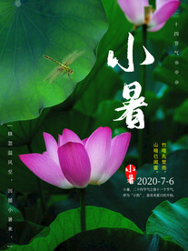 小暑海报 