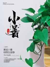 小暑海报