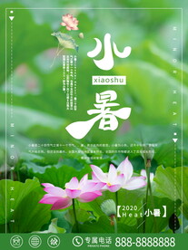 小暑海报 