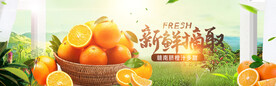 简约清新风格淘宝脐橙海报